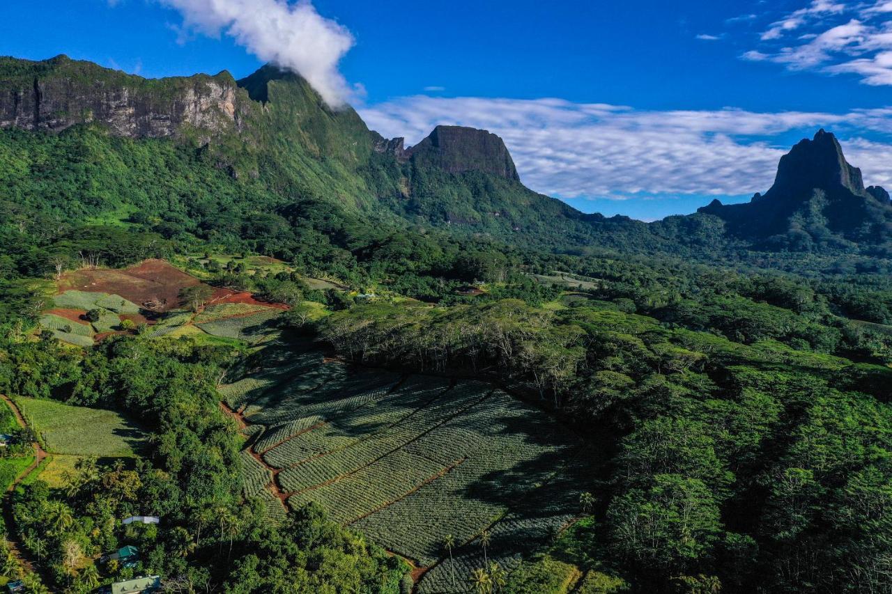 Eco Lodge Village Temanoha Paopao Eksteriør bilde