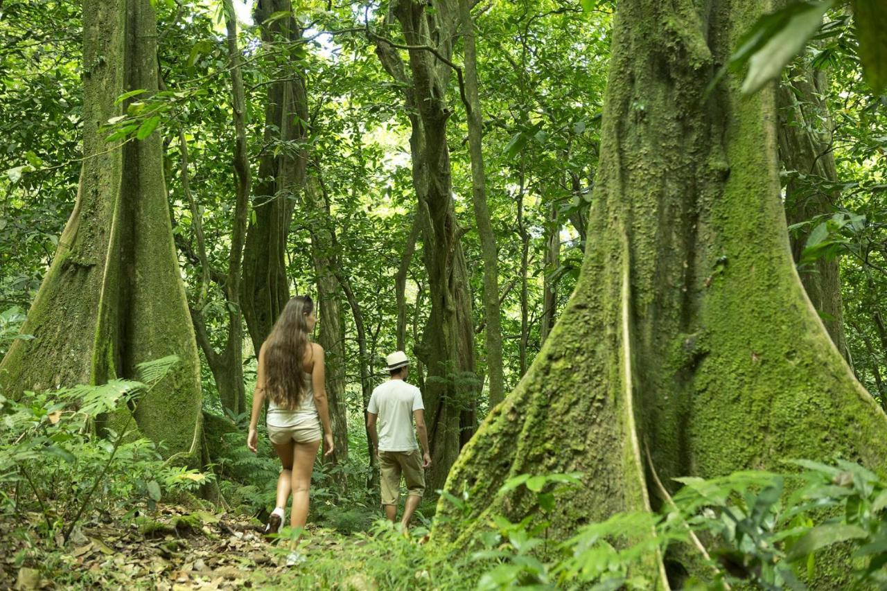 Eco Lodge Village Temanoha Paopao Eksteriør bilde